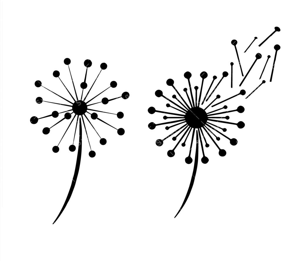 Dandelion svg