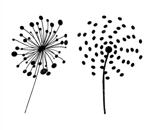 Dandelion svg