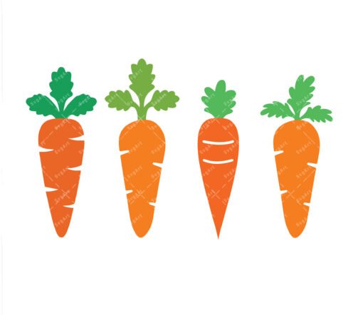 Carrot Svg
