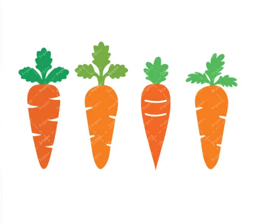Carrot Svg