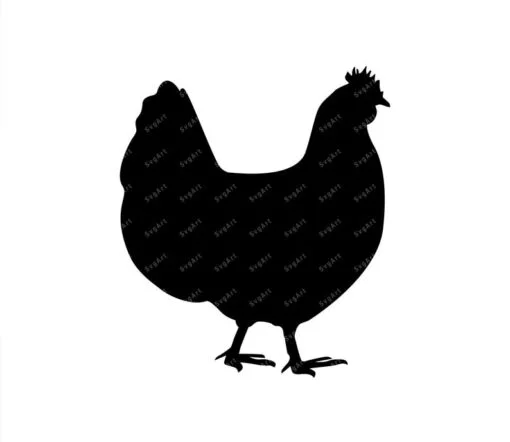 Chicken SVG