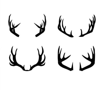 Deer Antlers SVG, Deer horns SVG, PNG, PDF, Deer Head Clipart, Hunting ...