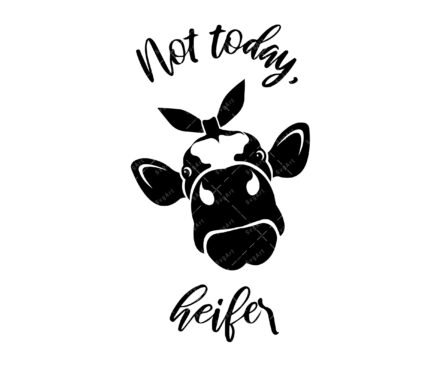 Not Today Heifer SVG, PNG, PDF, Cute funny cow, Farm Animal svg