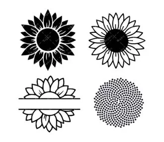 Sunflower SVG