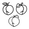 Peach SVG Outline