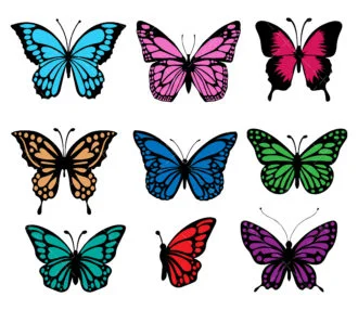 Butterfly SVG