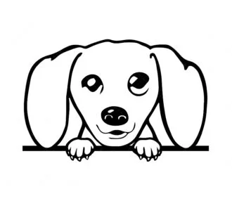 Dachshund Peeking SVG