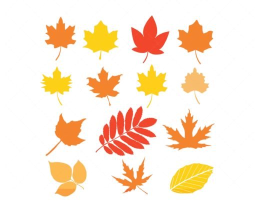 Fall Leaves SVG