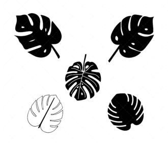 Monstera leaf SVG