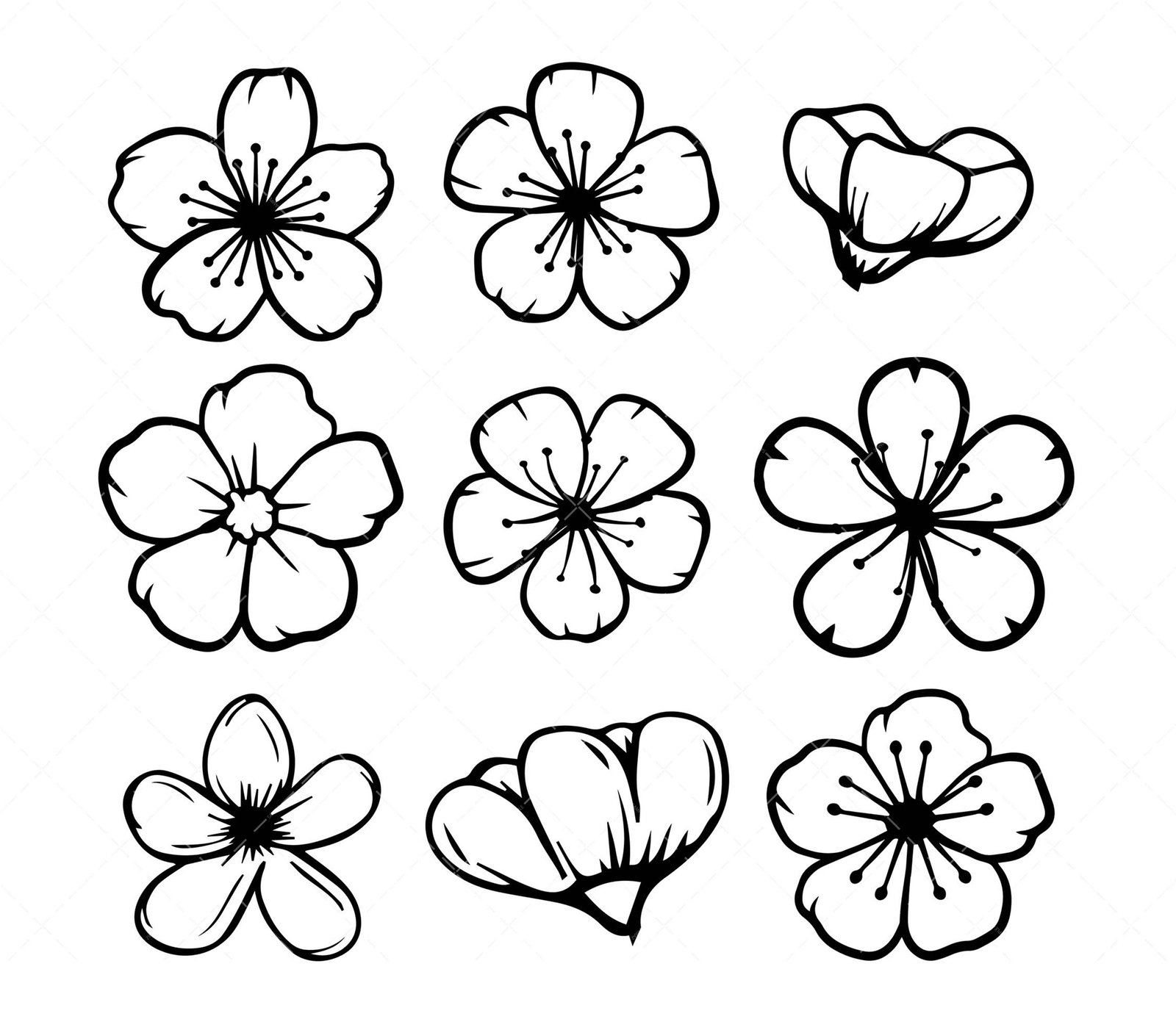 PDF PNG Studio file for cutting and printing Silhouette Sakura Flower SVG