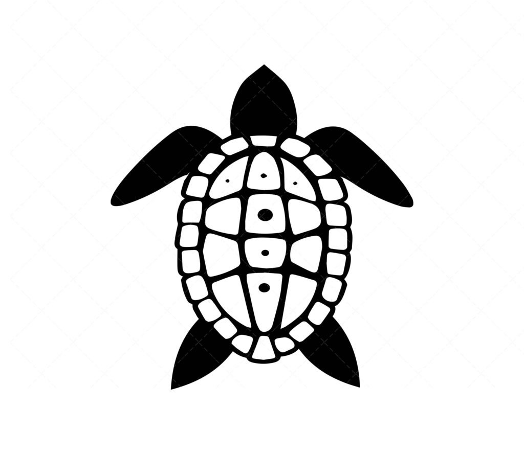 Sea Turtle SVG