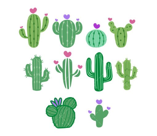 Cactus SVG Bundle