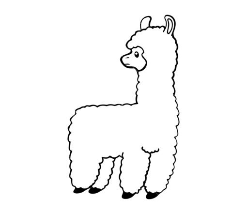 Llama SVG