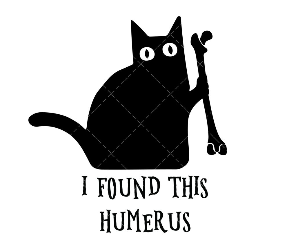 I Found This Humerus SVG, PNG, PDF, Bone Joke SVG, Halloween SVG