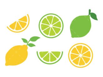 Lemon SVG