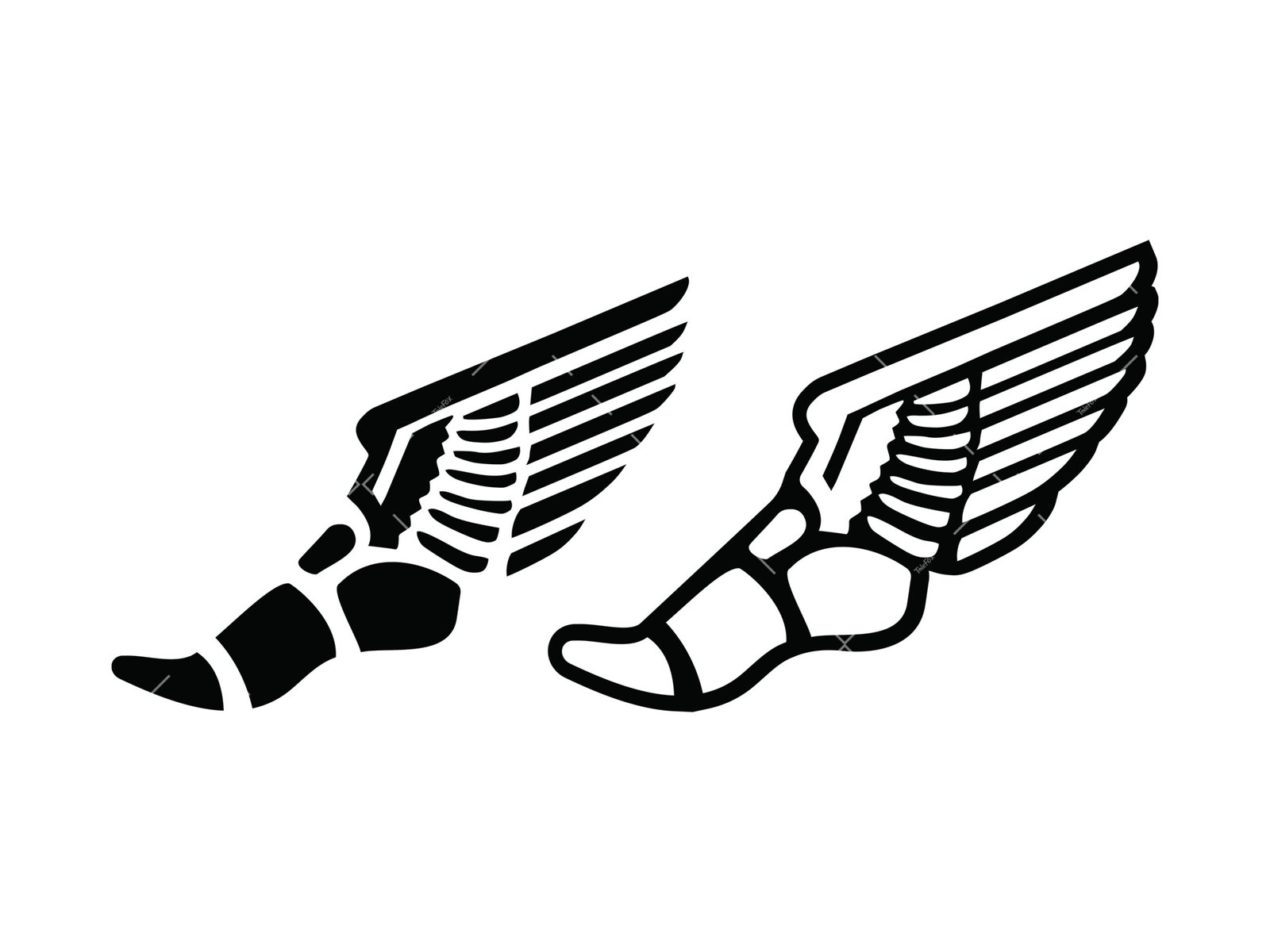 Winged Running Shoe SVG, PNG, PDF, Hermes SVG, Mercury SVG cut files