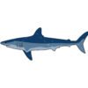 Layered Shark SVG