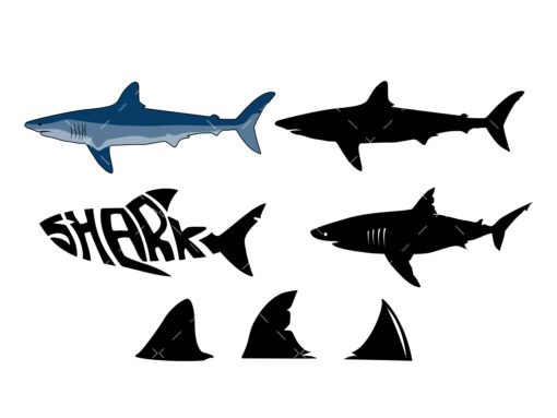 Shark SVG Bundle