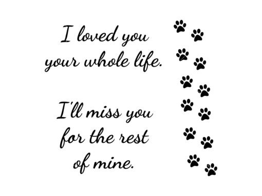 I loved you your whole life. I’ll miss you for the rest of mine. SVG